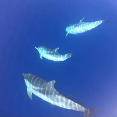 Santa Giulia Holiday home