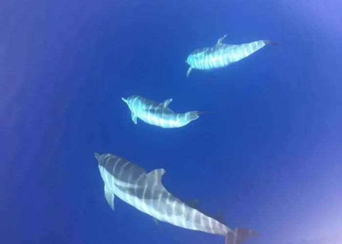 Santa Giulia Nyaraló